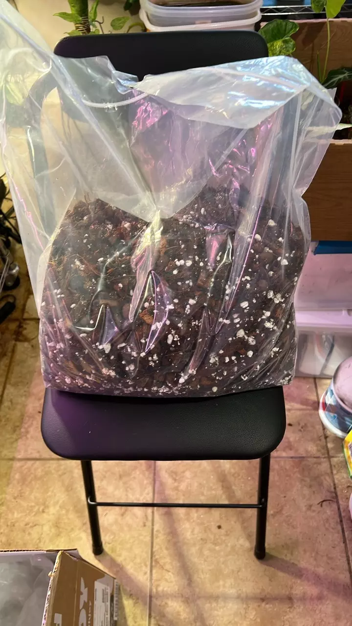 Moisture Mix thumbnail