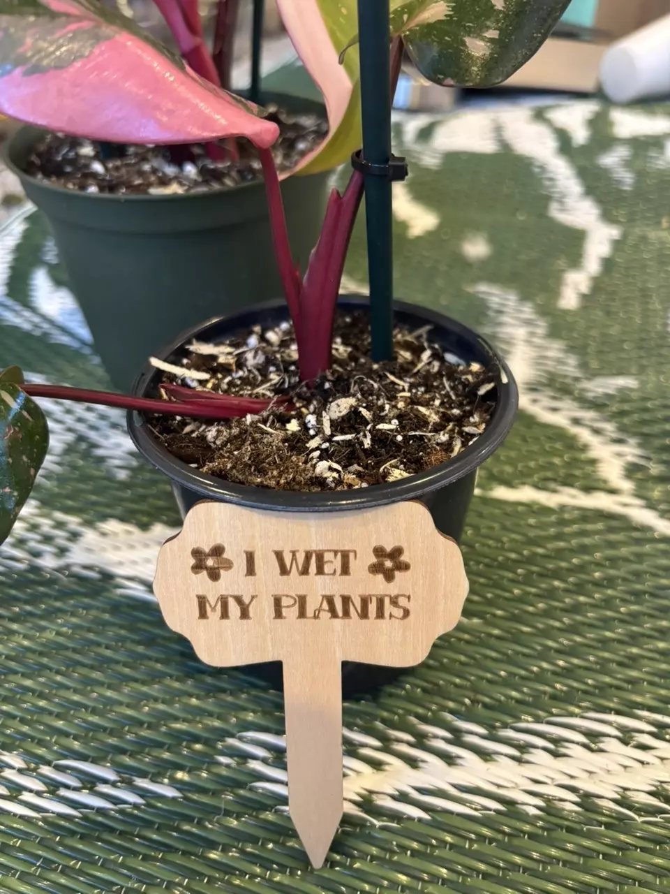 Funny plant stakes (6) thumbnail