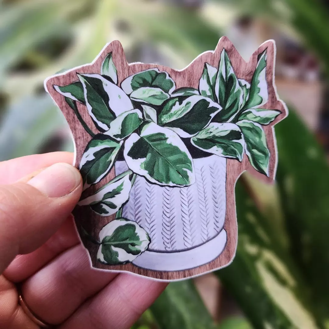 Perals n Jade Vinyl Sticker thumbnail