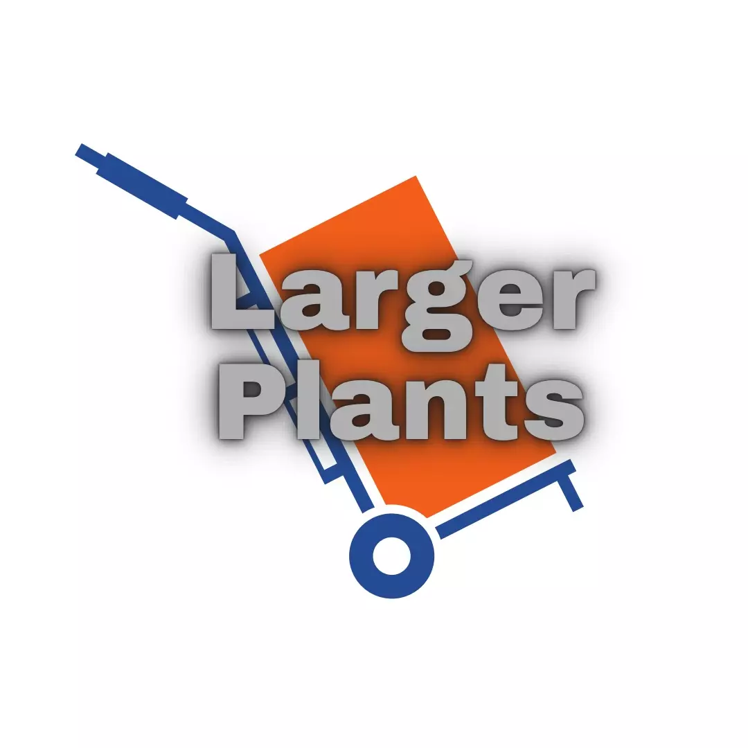 Extra large shipping upgrade thumbnail