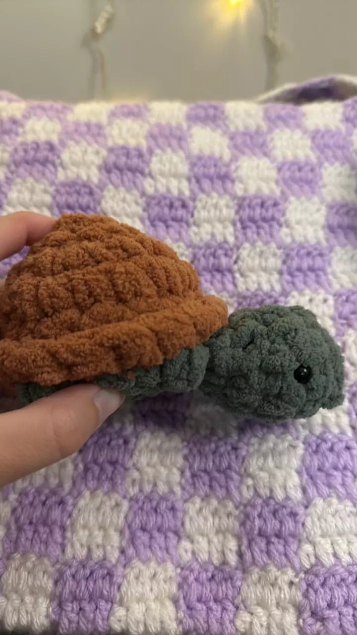 Baby turtle thumbnail