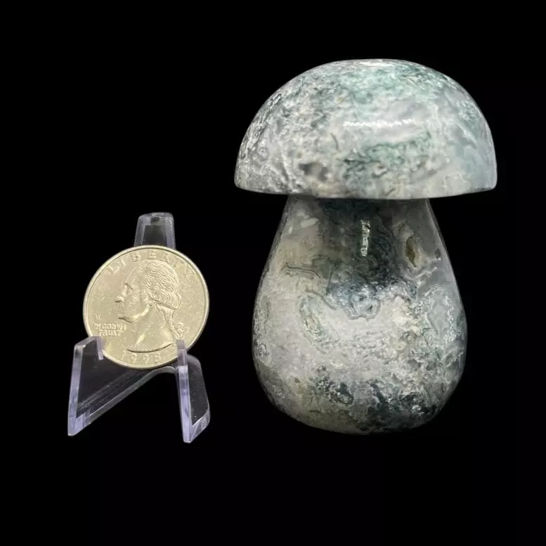 Moss Agate Crystal Mushroom thumbnail