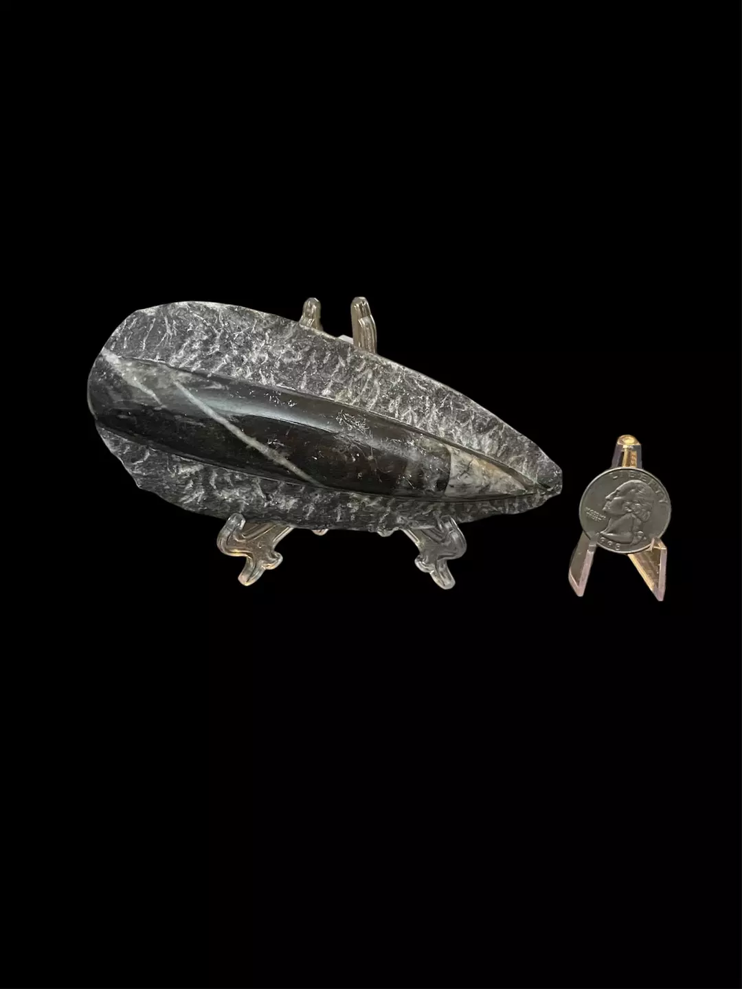 Small Orthoceras Fossil Carving thumbnail