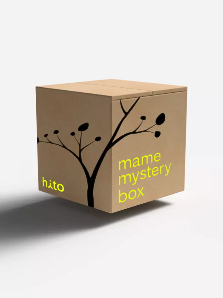 Mame Mystery Box - Series Ni thumbnail