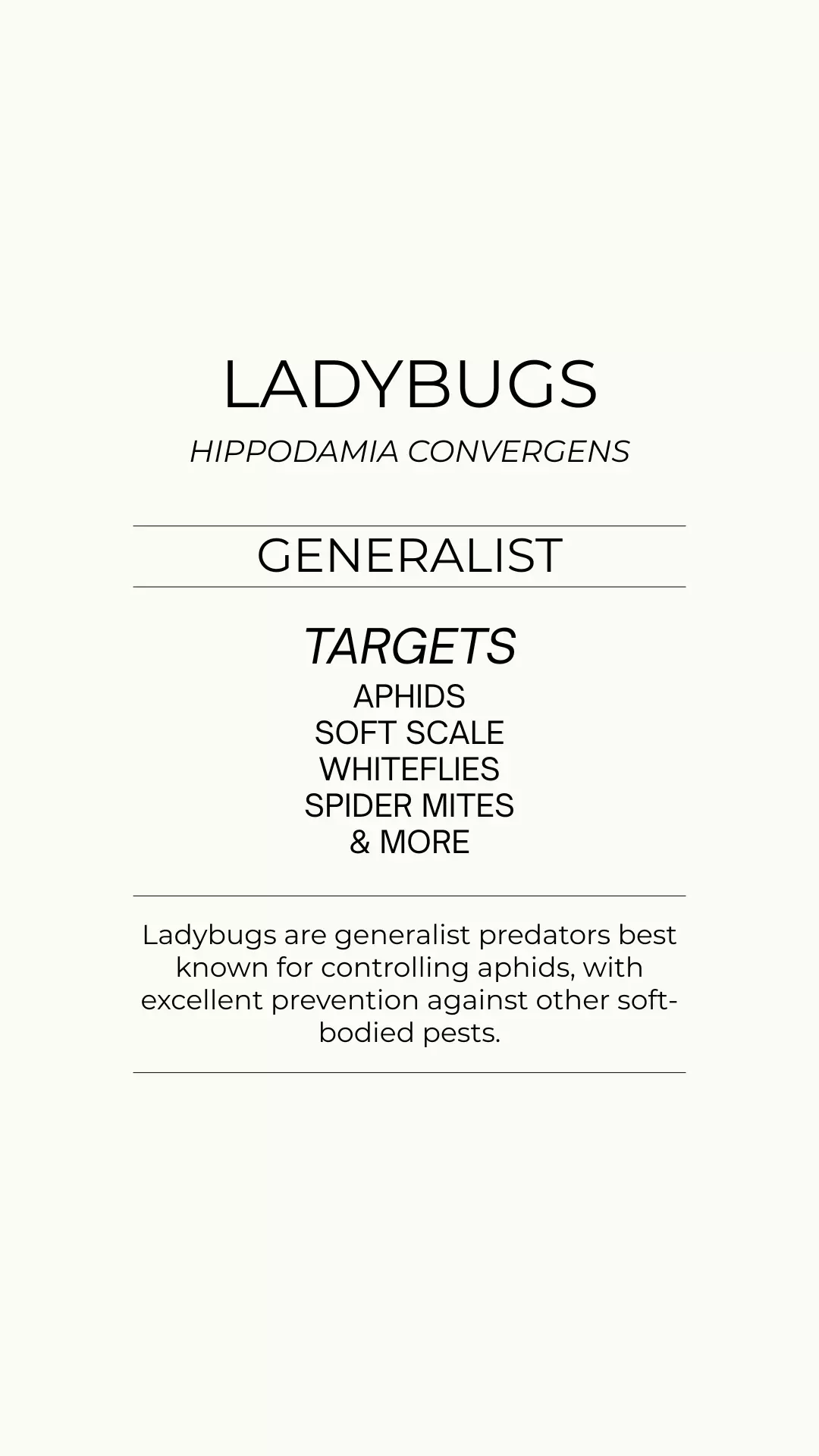 Ladybugs - Generalist - Aphids  thumbnail