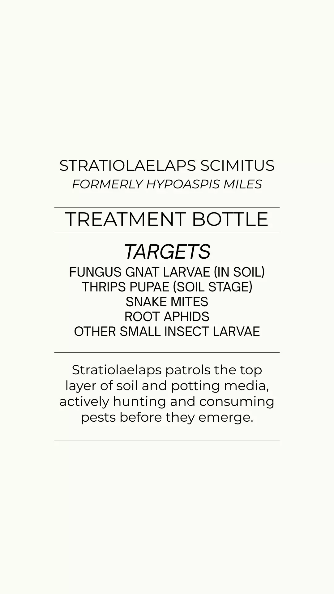 Stratiolaelaps Scimitus - Fungus Gnats, Thrips, Snake Mites thumbnail