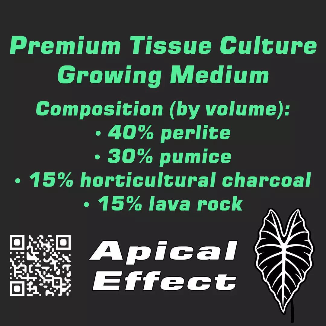 Premium Tissue Culture Growing Medium (1 self watering cup size) thumbnail