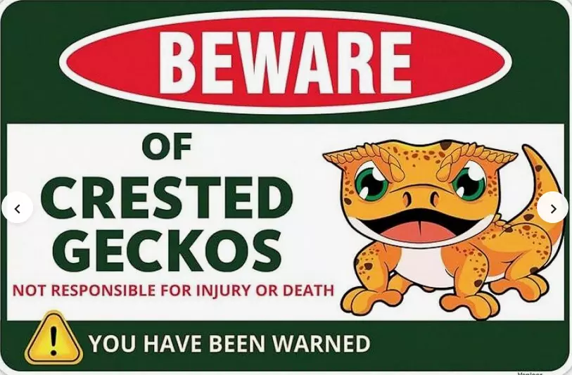 Crested Gecko Sign Decor thumbnail