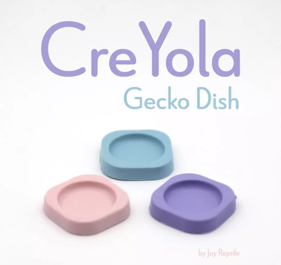 Cre Yola 10 pack of food dishes thumbnail