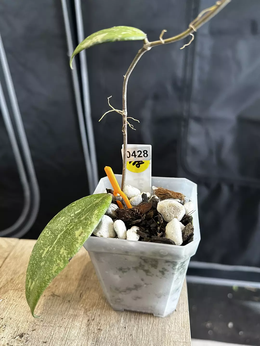 vietnam splash thumbnail