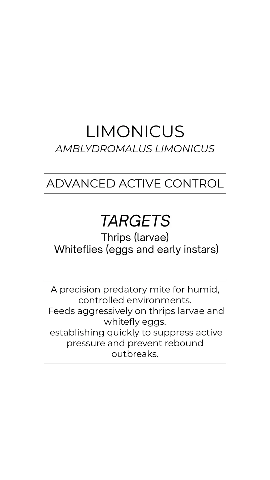 Limonicus - Thrips - Must Have High Humidity thumbnail