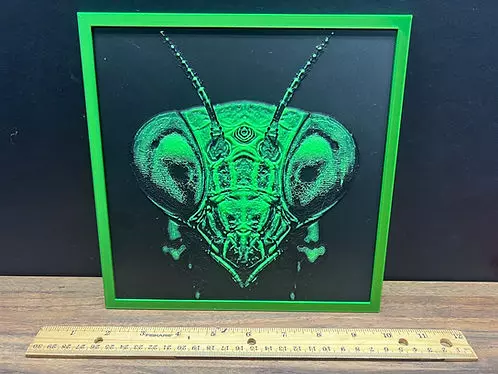 3D Printed Invert Art - 8" x 8" - Green Mantis thumbnail
