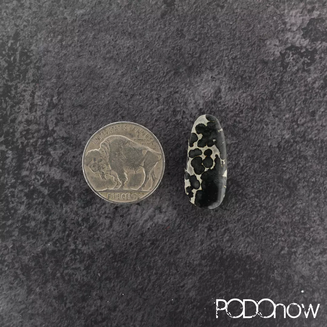 Blue Boy Variscite Cabochon 10.5ct thumbnail