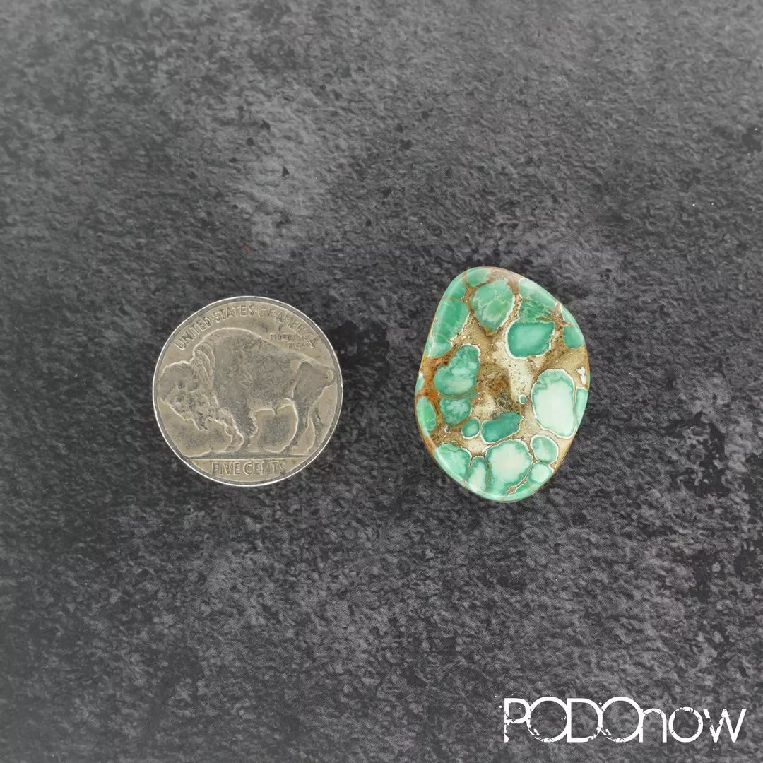 Candelaria Hills Variscite Cabochon 22.9ct thumbnail