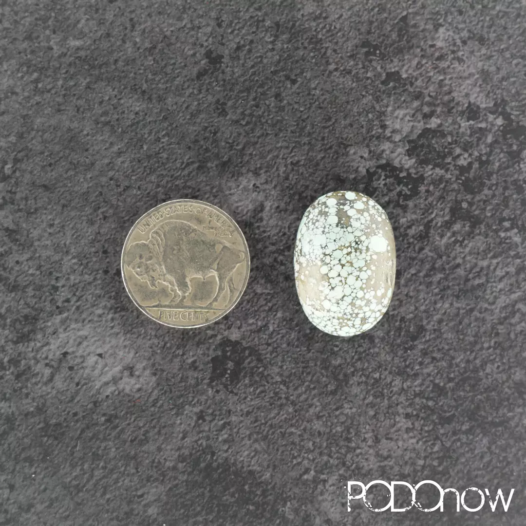 Candelaria Hills Variscite Cabochon 20.5ct High Dome thumbnail