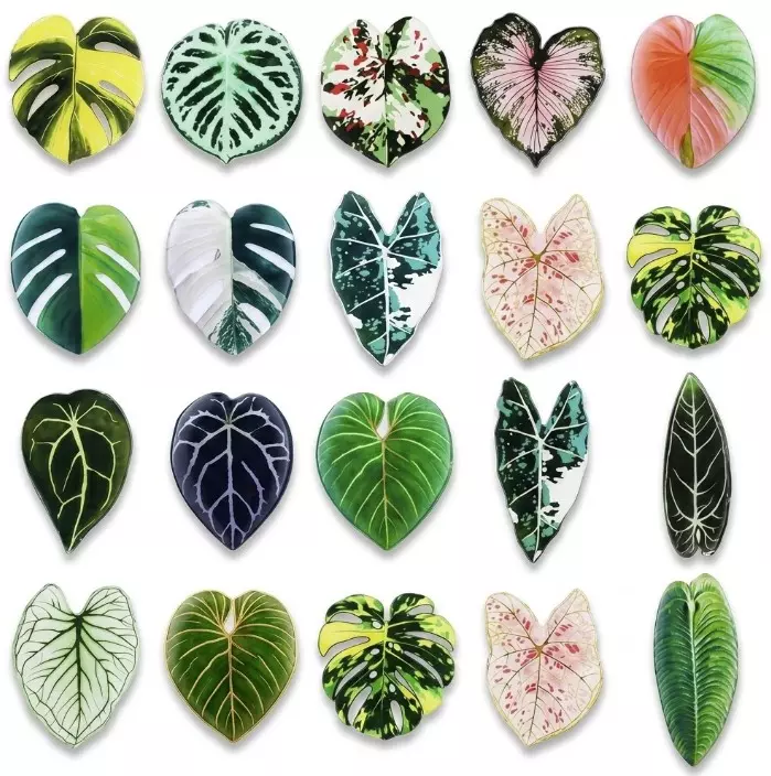 Random Plant Magnets thumbnail