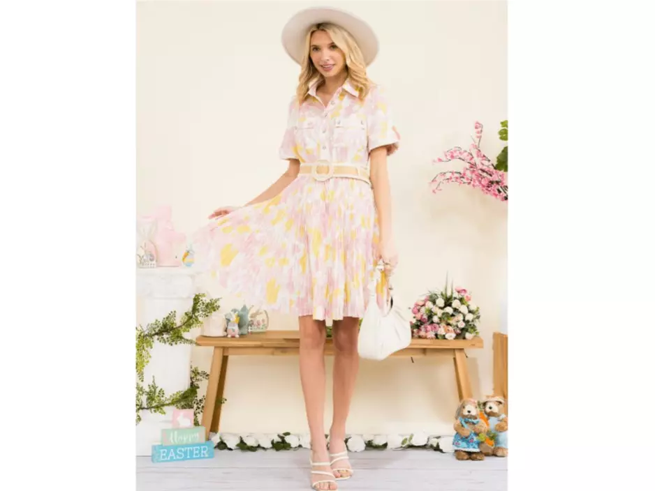 Short Sleeve Button Up Belt Pleated Mini Dress thumbnail