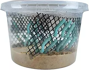 Josh's Frogs Hornworms Habitat Cup (25 Count Cup) thumbnail