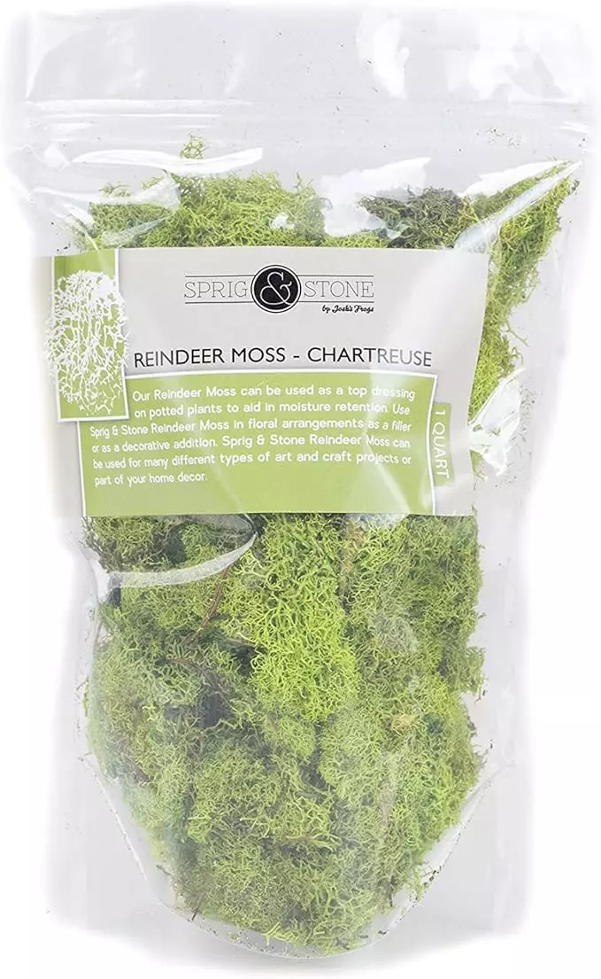 Josh's Frogs Dried Reindeer Moss (1 Quart) thumbnail
