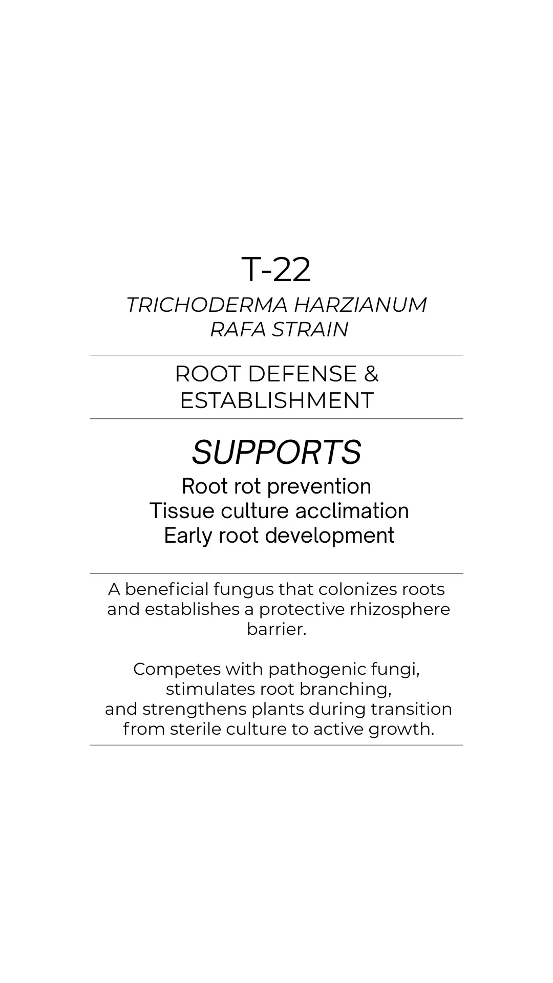 Trichoderma Harzianum (Strain T-22) thumbnail