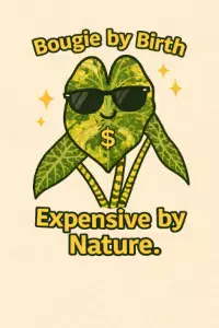 Bougie by Birth, Expensive by Nature Sticker thumbnail