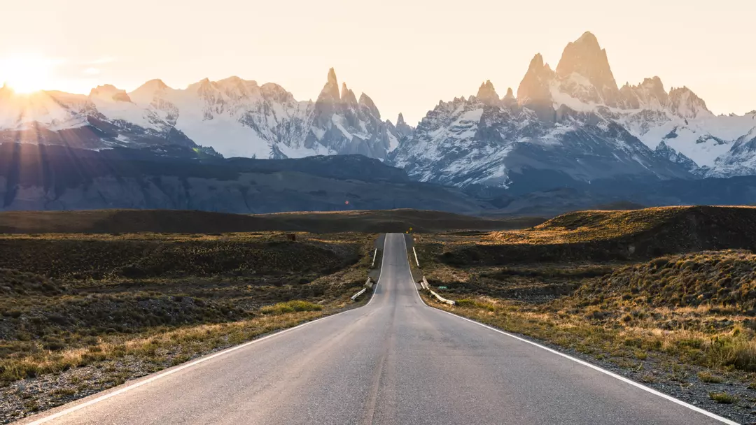 green jerky  thumbnail