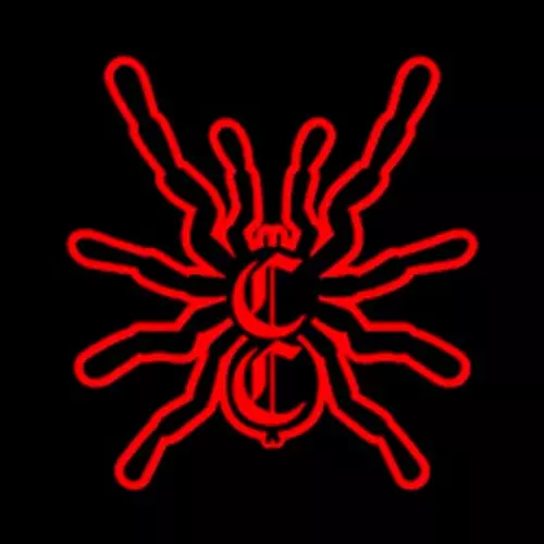 Eresus walckenaeri | Mediterranean velvet spider / Greek ladybird spider thumbnail