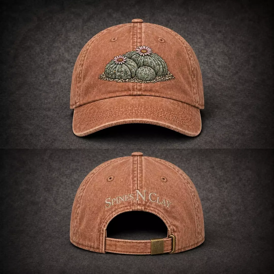 Hat - Embroidered Lophophora (Terracotta) thumbnail