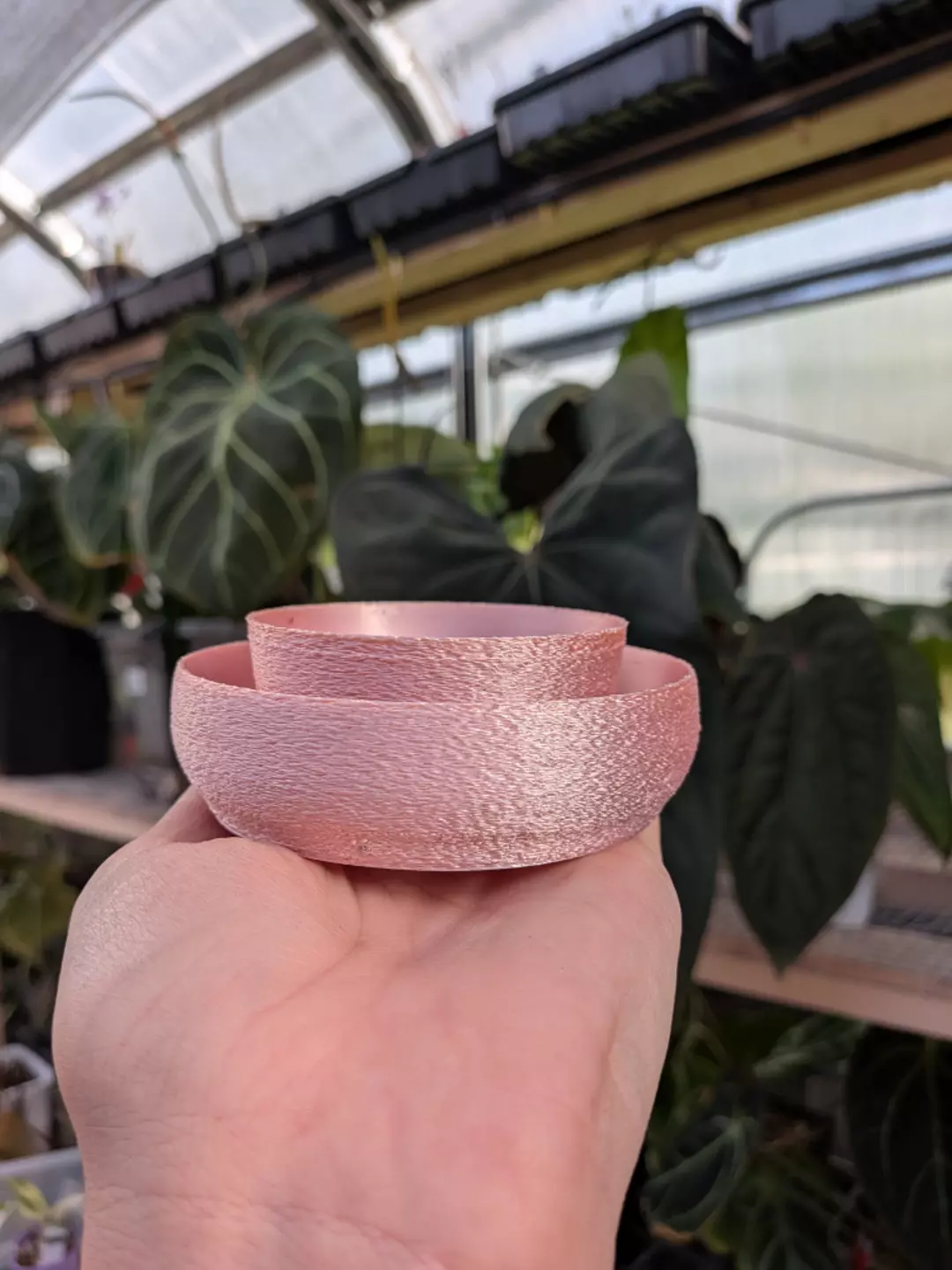 Rose Gold ( May color of the month ) thumbnail