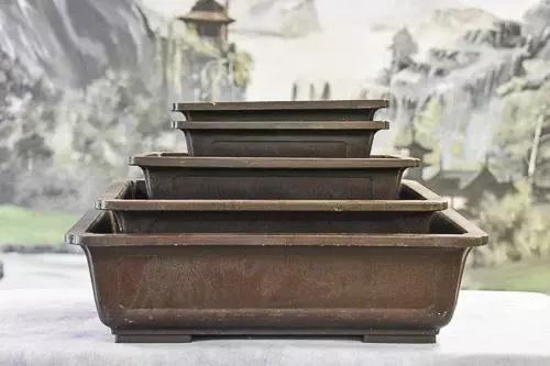 Mica Bonsai Pot (REB) Rectangle Series – Set of 5 Assorted Pots  thumbnail
