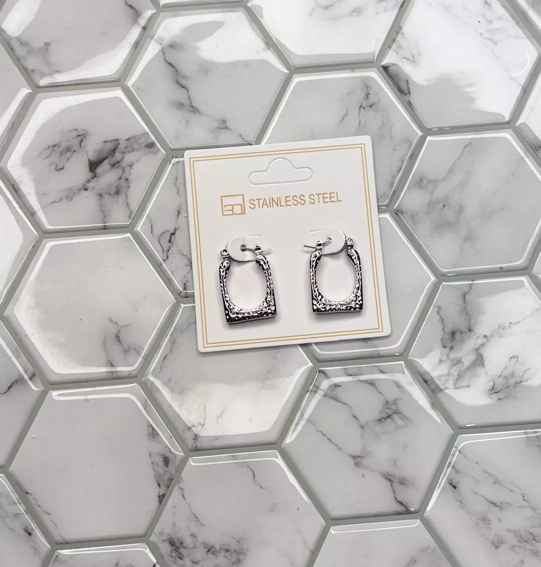 Stainless Silver Earrings thumbnail