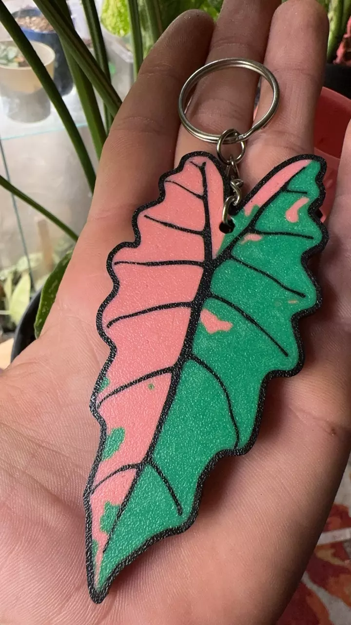 Alocasia pink Polly keychain thumbnail