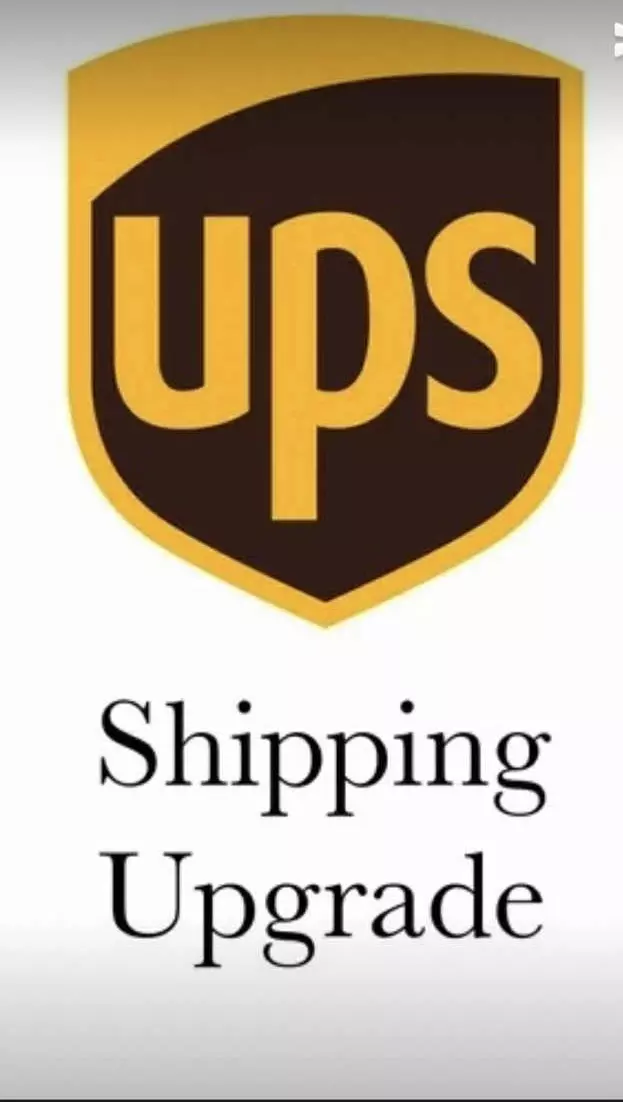 UPS Next Day Air shipping upgrade thumbnail