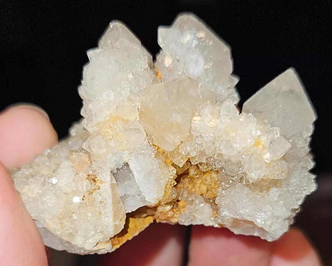 Witches fingers thumbnail