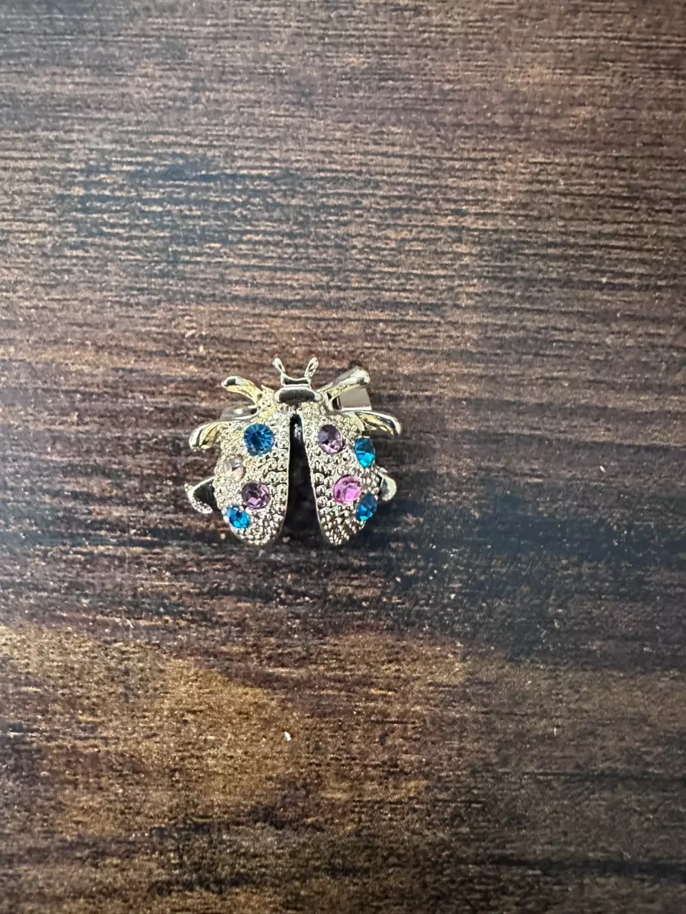 1 inch ladybug brooch thumbnail