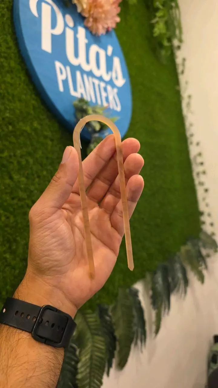 Small Tan Trellis thumbnail