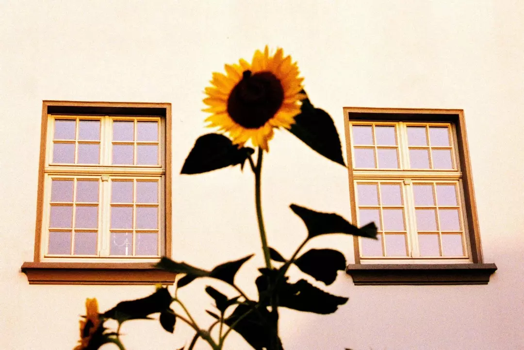 custom shipping fee thumbnail