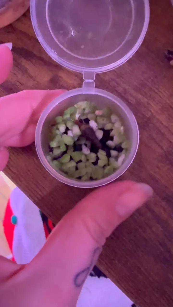 Silver Dragon Aurea sprouted corm thumbnail