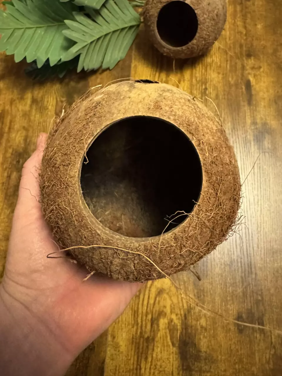 Natural Coconut Hide thumbnail