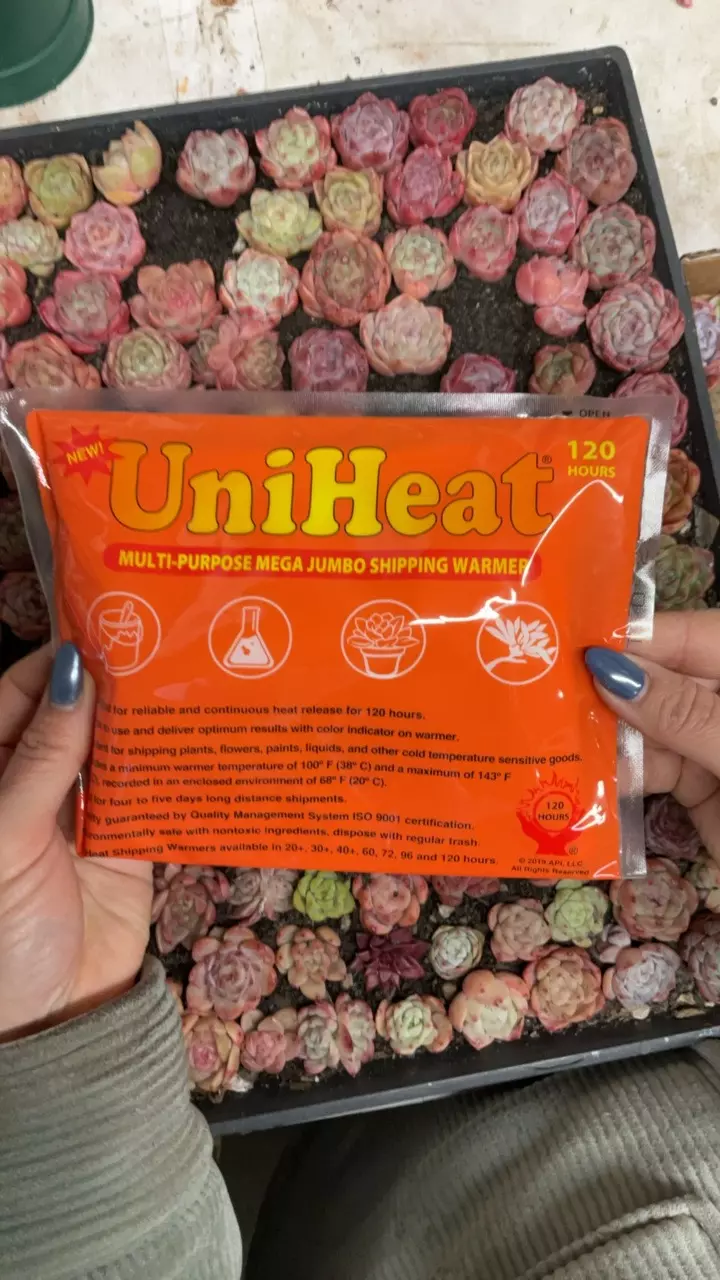 Winter Protection thumbnail