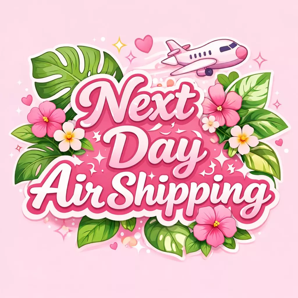 Next Day Air Shipping thumbnail