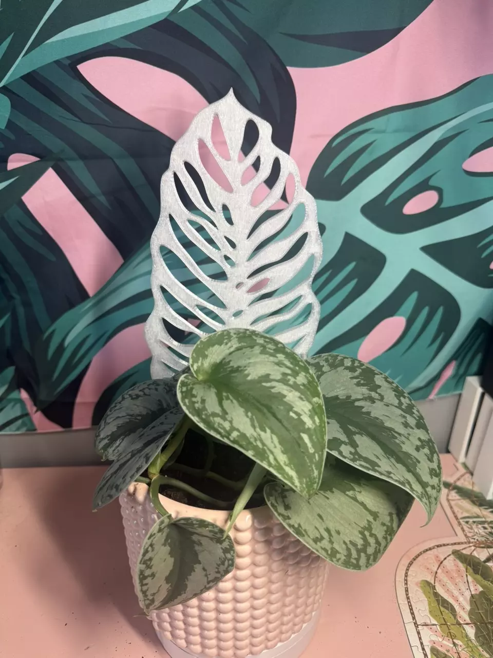 Adansonii Leaf Trellis | 3d printed | Choose your color thumbnail