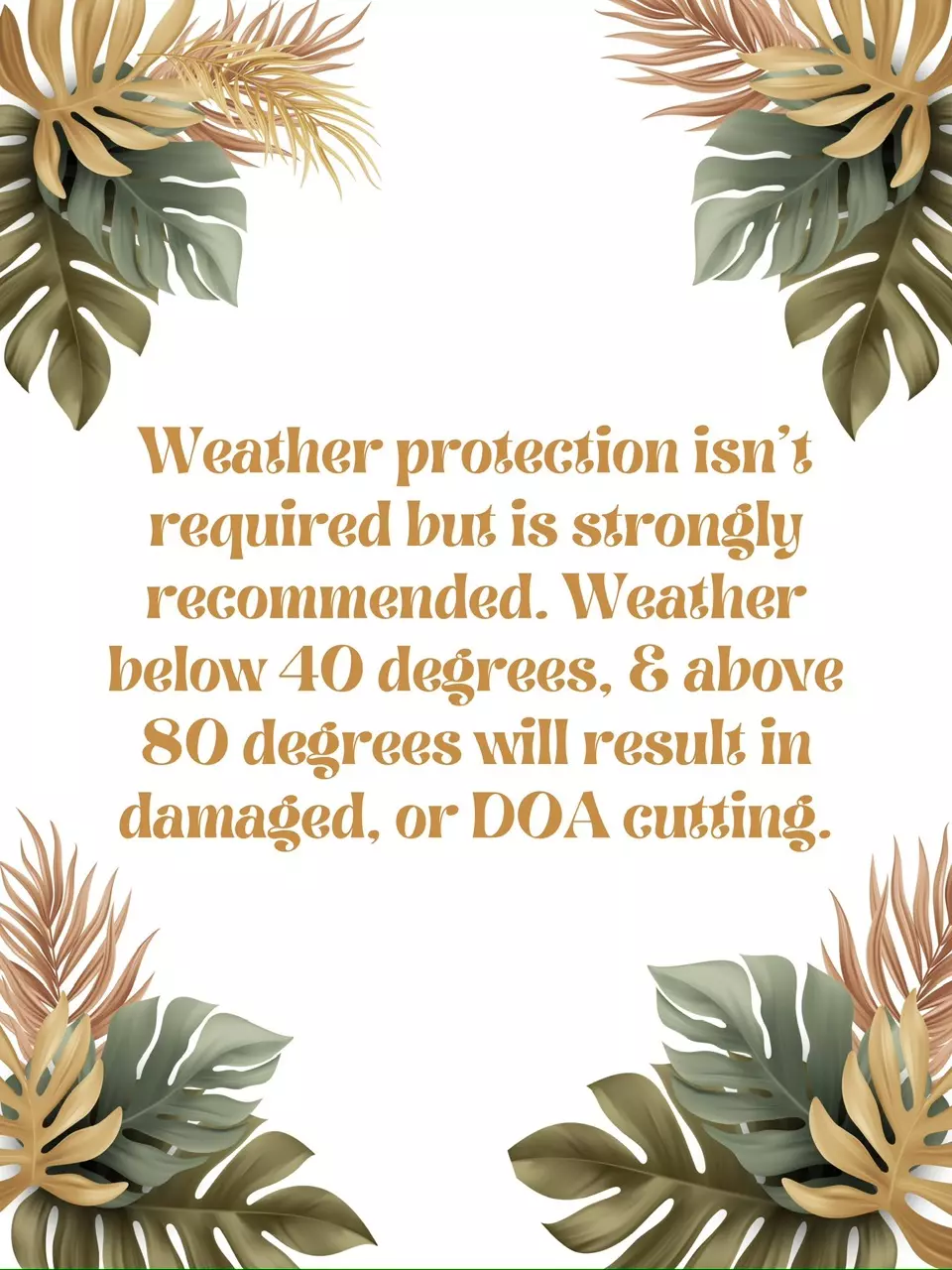 Weather Protection thumbnail