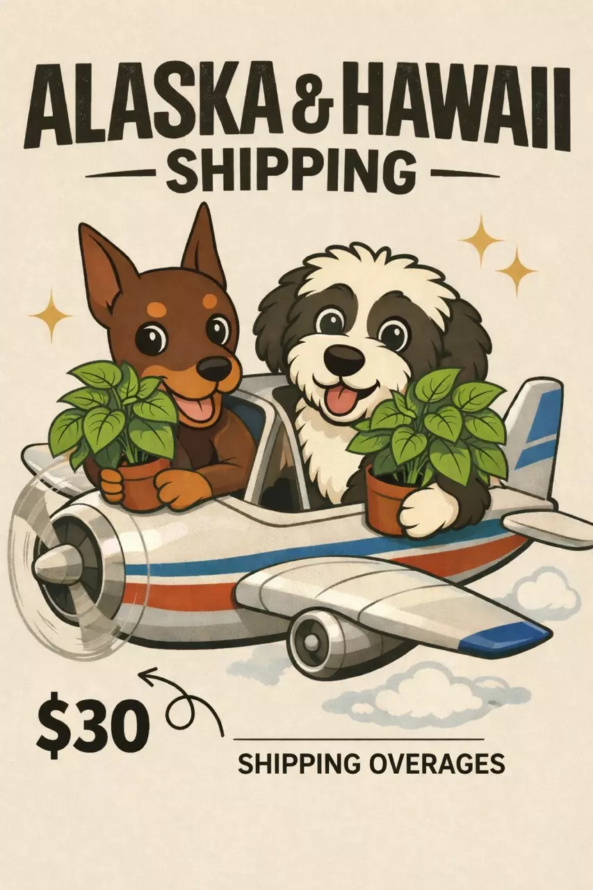 Alaska & Hawaii Shipping thumbnail