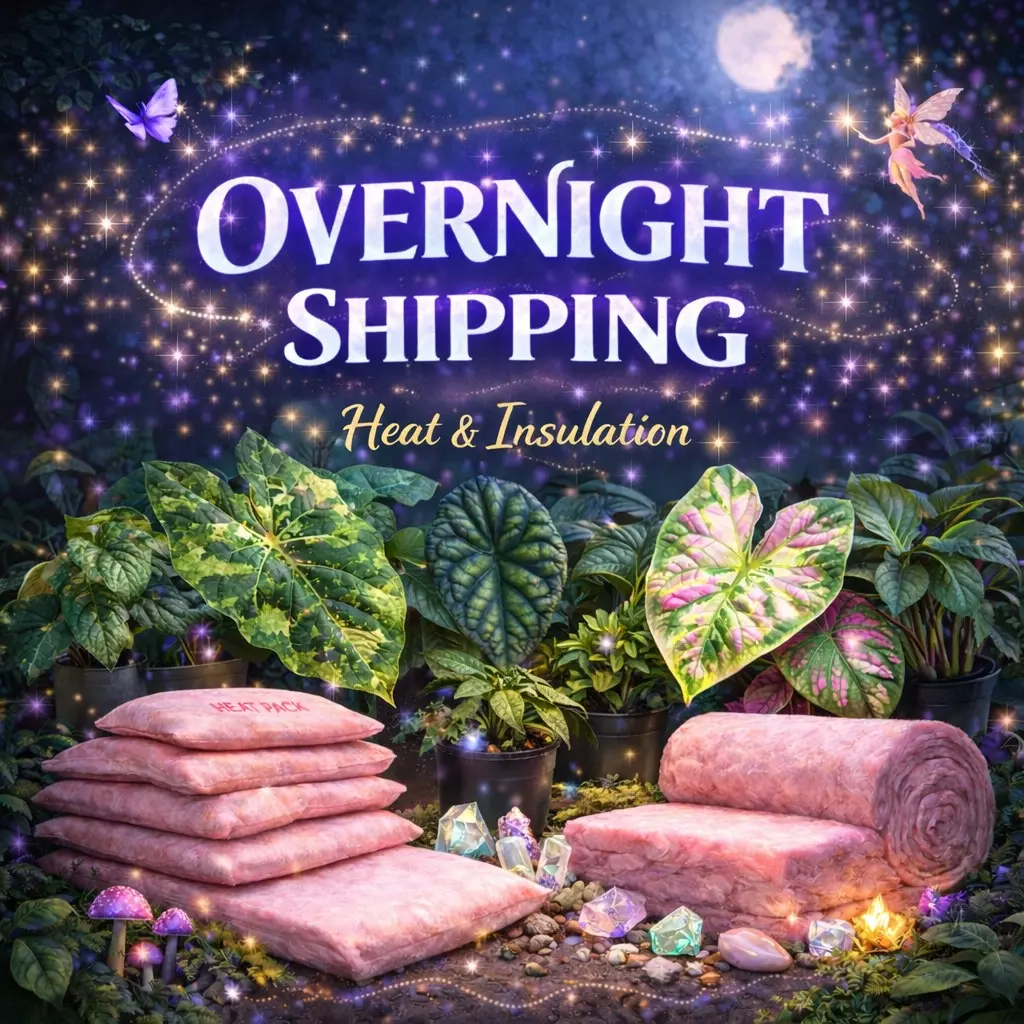 OVER NIGHT SHIPPING + heat & insulation, please read description. thumbnail