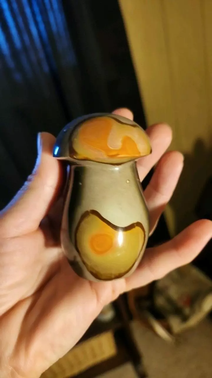 💗Polychrome Mushie💗 thumbnail