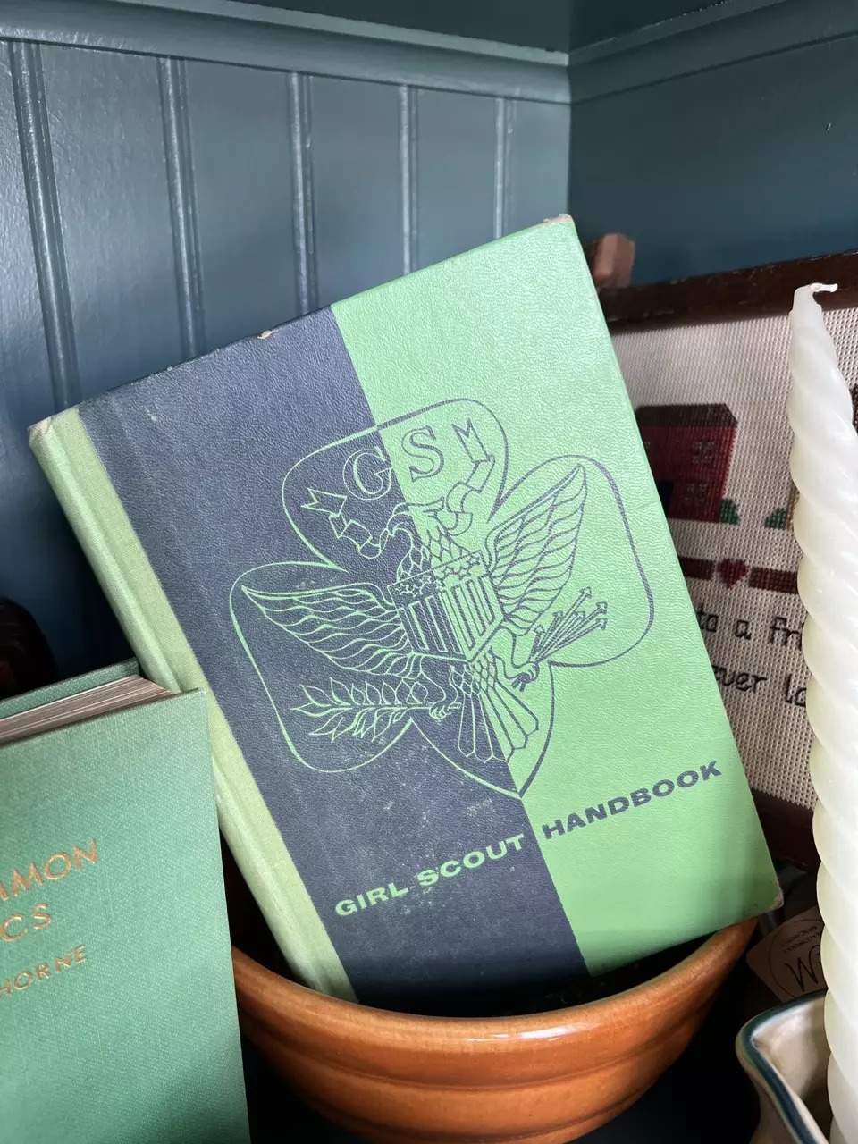 Girl Scout Book thumbnail