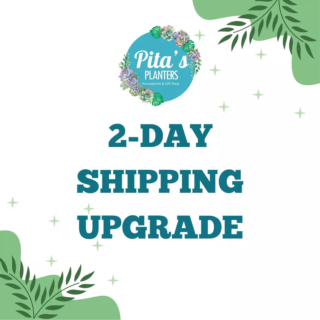 2-Day Shipping Upgrade thumbnail
