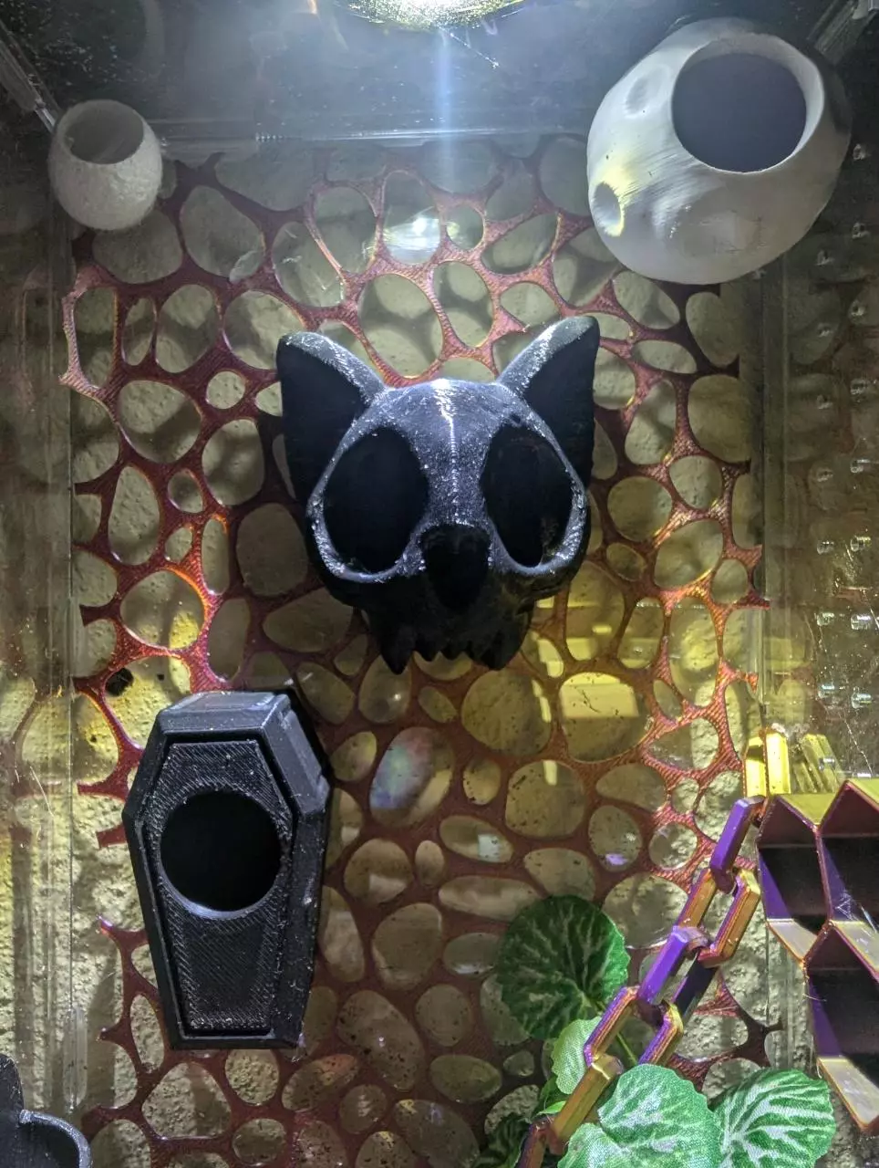 Bat Skull Jumping Spider Magnetic Hide thumbnail