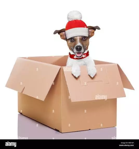 Full Winter Shipping Protection thumbnail